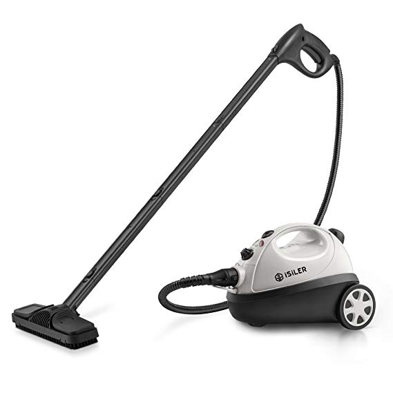 Portable vacuum cleaners